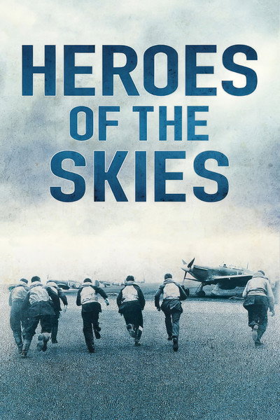 Póster de Air Aces