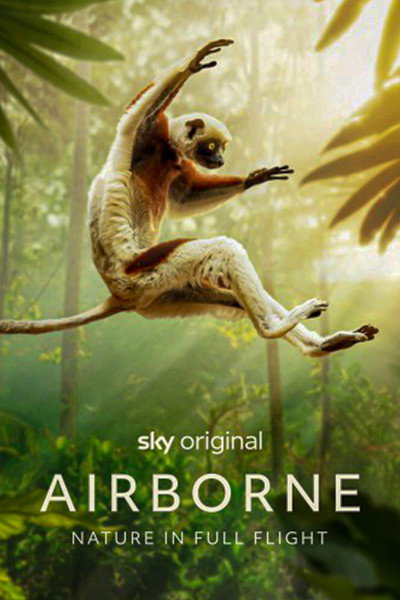 Póster de Airborne