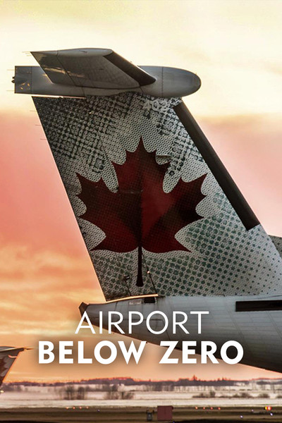 Póster de Airport: Below Zero
