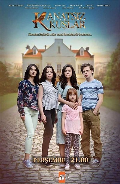 Póster de Alas rotas