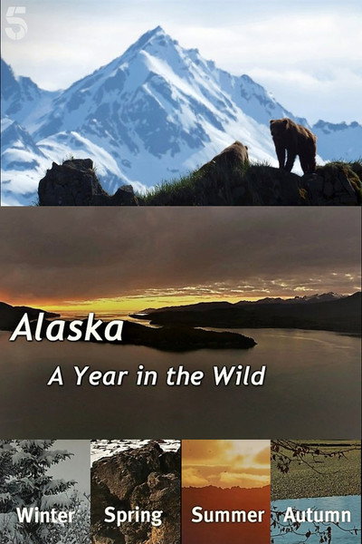 Póster de Alaska: A Year in the Wild