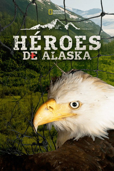 Póster de Alaska Animal Rescue