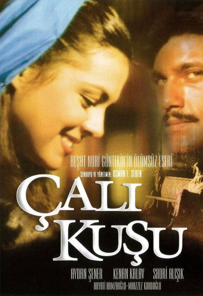 Póster de Çalikusu
