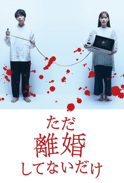 Póster de All But Divorced