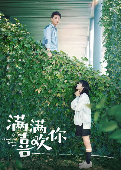 Póster de All I Want for Love Is You