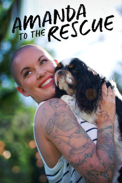 Póster de Amanda to the Rescue