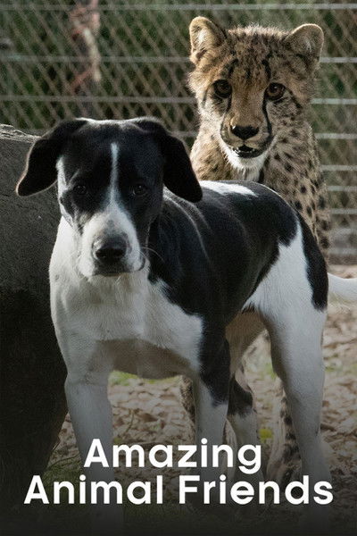 Póster de Amazing Animal Friends