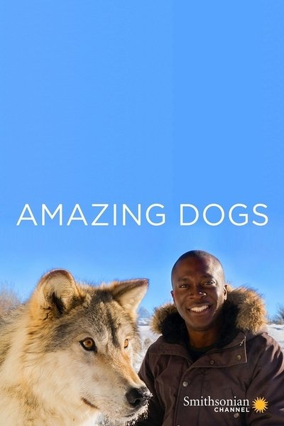 Póster de Amazing Dogs