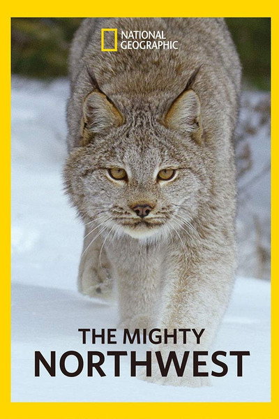 Póster de America the Beautiful: Mighty Northwest