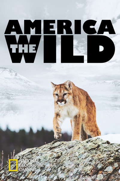 Póster de America the Wild