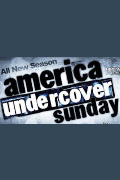 Póster de America Undercover