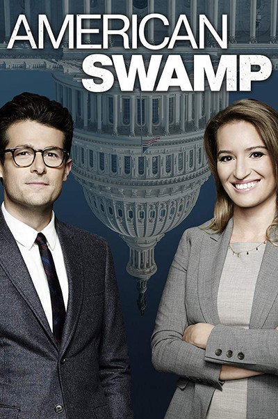 Póster de American Swamp