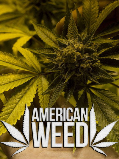 Póster de American Weed