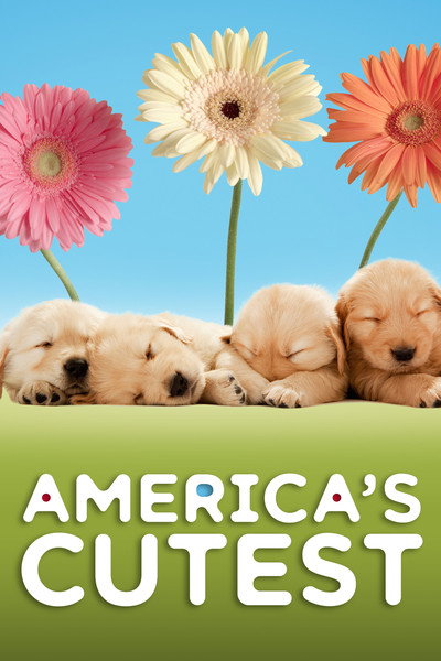 Póster de America's Cutest