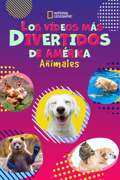 Póster de America's Funniest Videos: Animal Edition