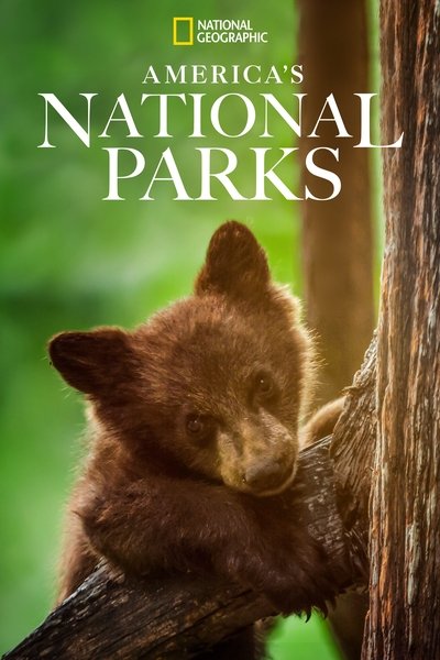Póster de America's National Parks
