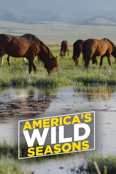 Póster de America's Wild Seasons