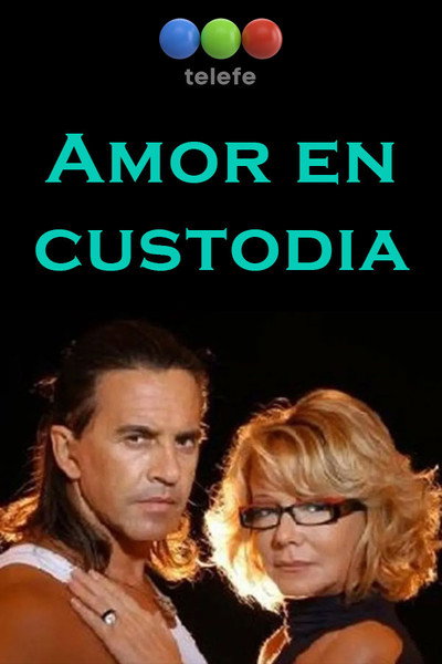 Póster de Amor en custodia