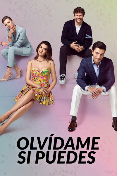 Póster de Amor, lógica, venganza
