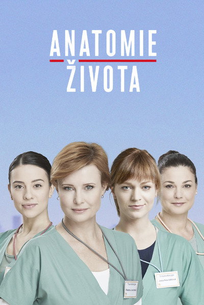 Póster de Anatomie zivota