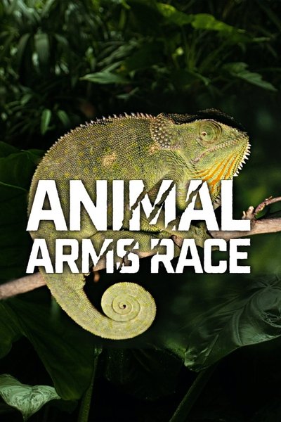 Póster de Animal Arms Race