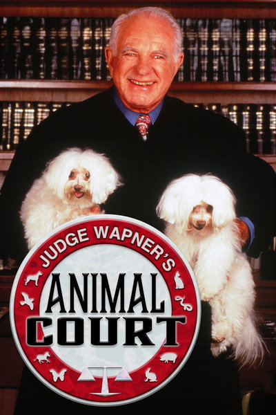 Póster de Animal Court