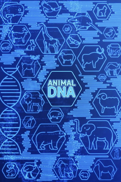 Póster de Animal DNA
