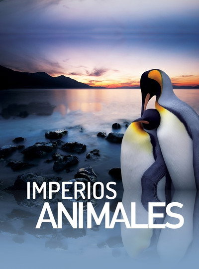 Póster de Animal Empire