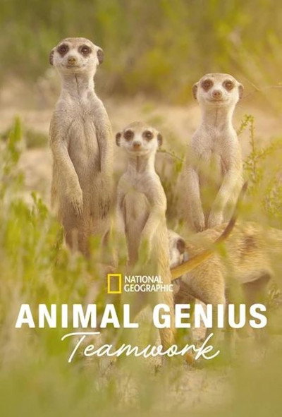 Póster de Animal Genius