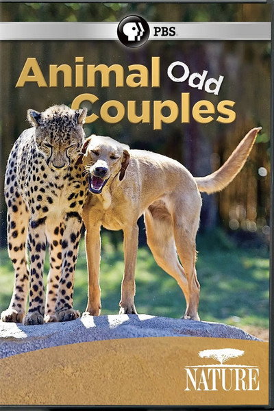 Póster de Animal Odd Couples