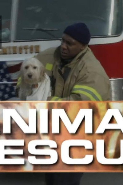 Póster de Animal Rescue with Alex Paen