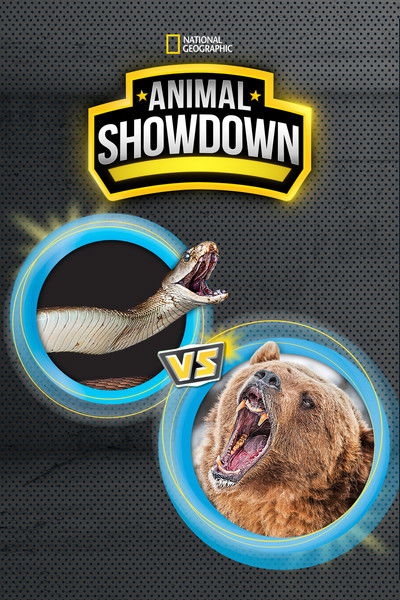 Póster de Animal Showdown