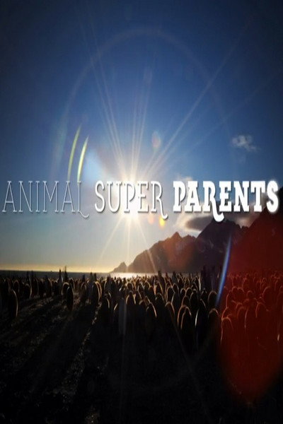 Póster de Animal Super Parents