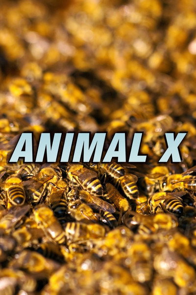 Póster de Animal X
