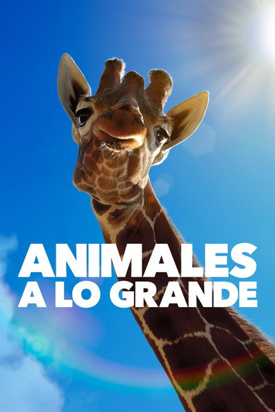 Póster de Animales a lo grande