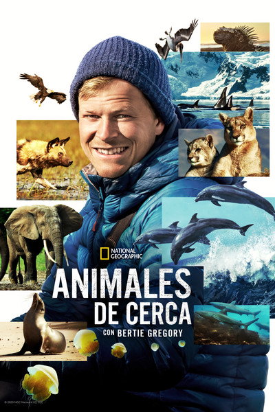 Póster de Animales en primer plano con Bertie Gregory