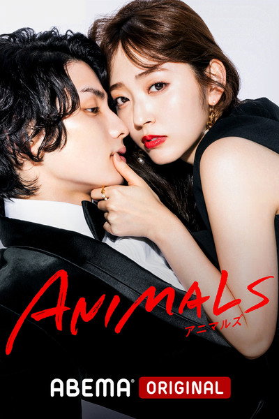 Póster de Animals