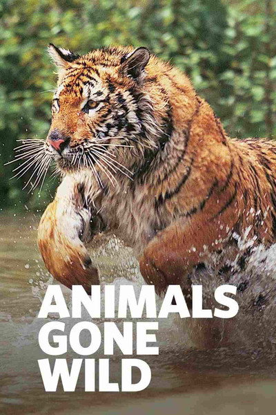 Póster de Animals Gone Wild
