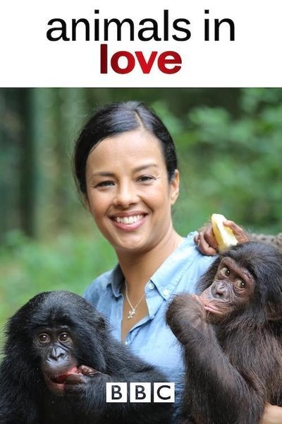 Póster de Animals in Love