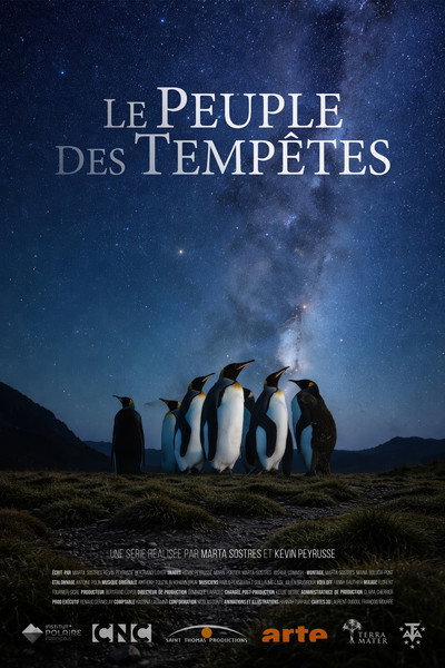 Póster de Animals of the Tempest