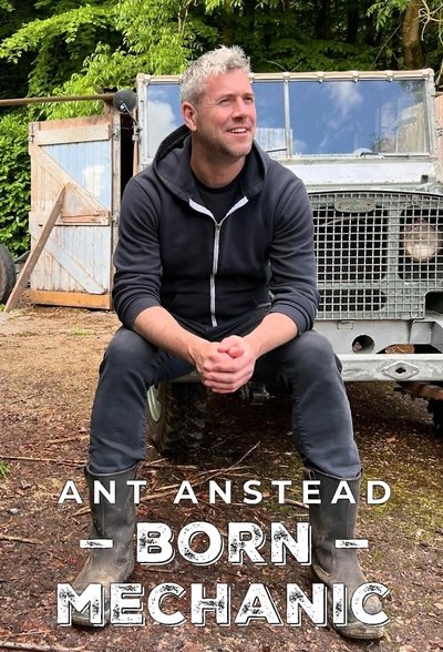 Póster de Ant Anstead: Born Mechanic