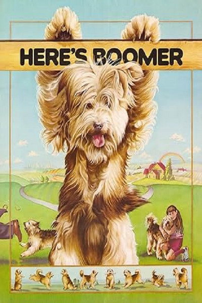 Póster de Aquí está Boomer