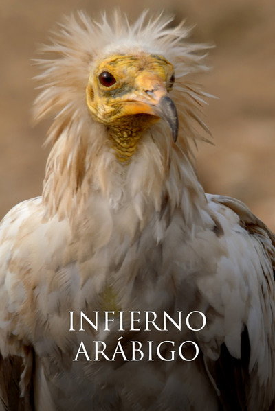 Póster de Arabian Inferno