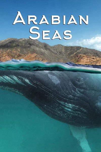 Póster de Arabian Seas