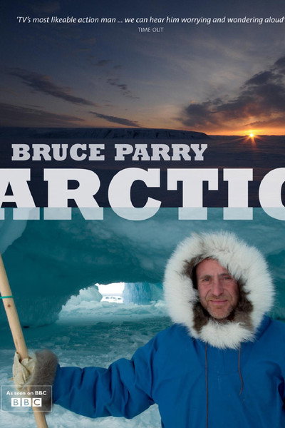 Póster de Arctic