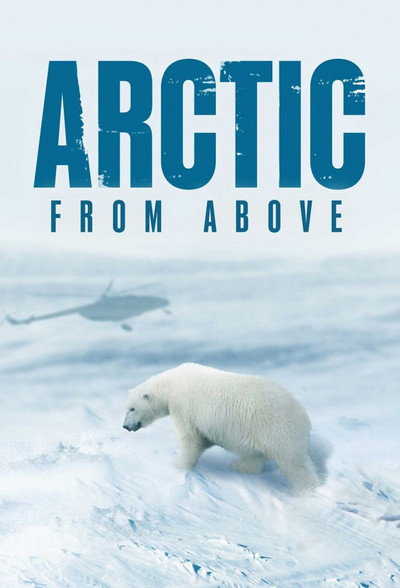 Póster de Arctic from Above