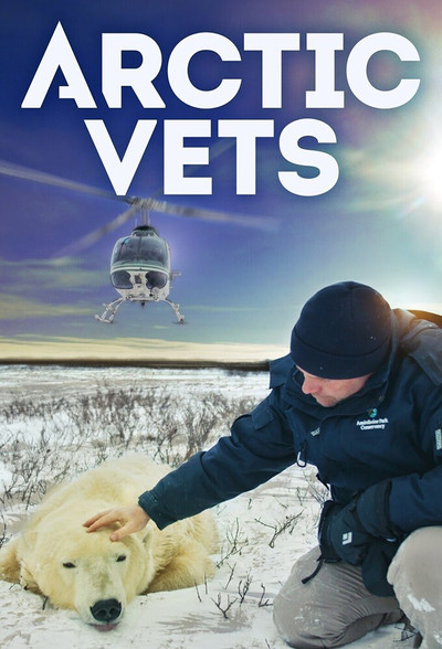Póster de Arctic Vets