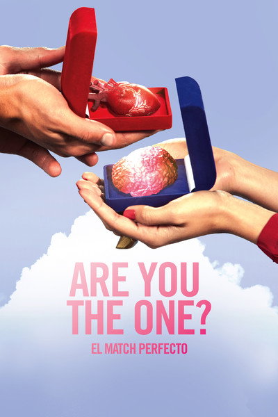 Póster de Are You the One? El Match Perfecto