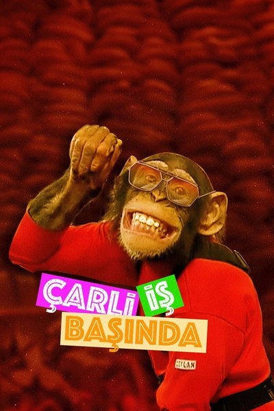 Póster de Çarli Is Basinda