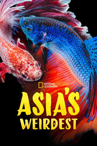Póster de Asia's Weirdest